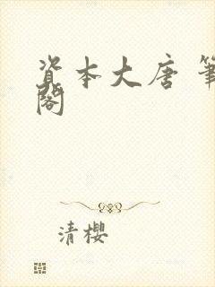 资本大唐 笔趣阁