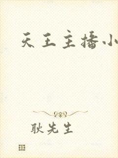 天王主播小说