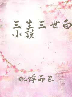 三生三世白暮泪小说
