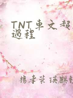 TNT车文超细过程