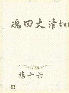 魂回大清txt