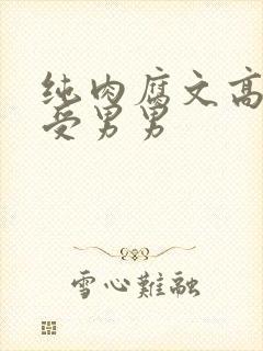 纯肉腐文高H总受男男