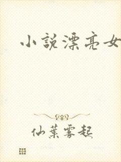 小说漂亮女局长