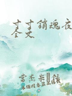 寸寸销魂夜春光全文