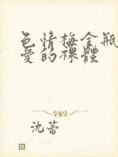 色情梅金瓶2之爱的裸体