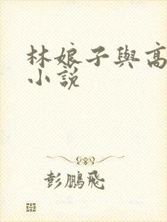 林娘子与高衙内小说