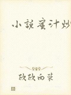 小说蜜汁炒鱿鱼