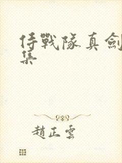 侍战队真剑者全集