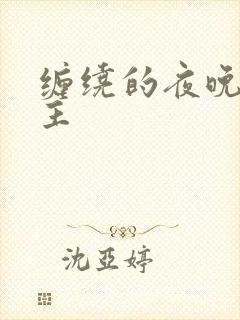 缠绕的夜晚双男主