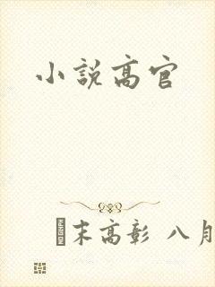 小说高官