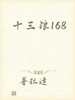 十三狼168