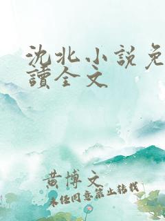 沈北小说免费阅读全文