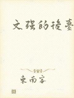 文强的后台是谁