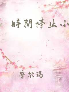 时间停止小说