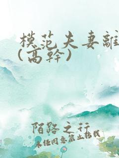 模范夫妻离婚了(高干)