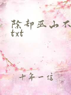 除却巫山不是云txt