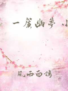 一帘幽梦 小说