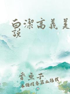 白洁高义美红小说