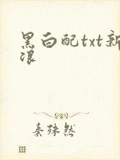 黑白配txt新浪