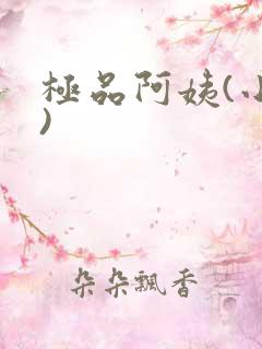 极品阿姨(小说)