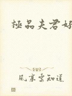 极品夫君好又多