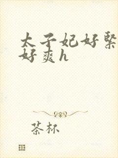 太子妃好紧皇上好爽h