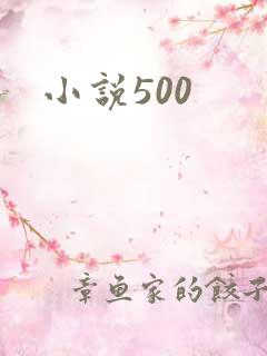 小说500
