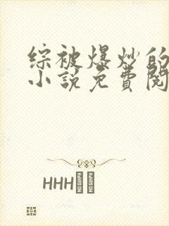 综被爆炒的日常小说免费阅读