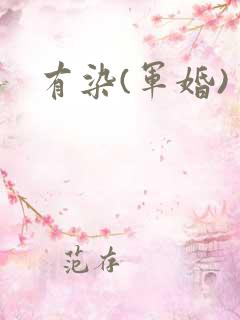 有染(军婚)