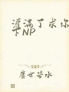 灌满了求你们停下NP