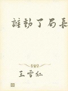 谁动了局长夫人