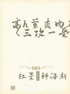 高h荤爽肉欲文〈三攻一受