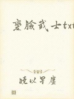 变脸武士txt