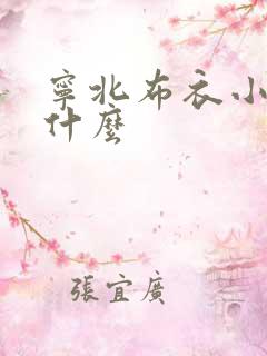 宁北布衣小说叫什么