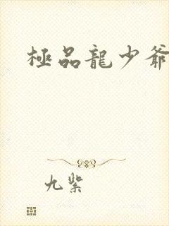 极品龙少爷