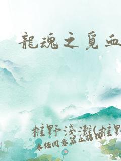 龙魂之觅血心缘