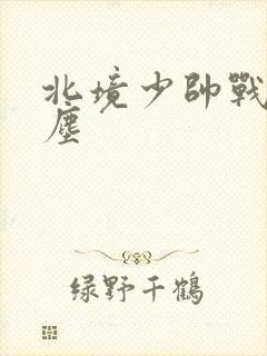 北境少帅战神苏尘