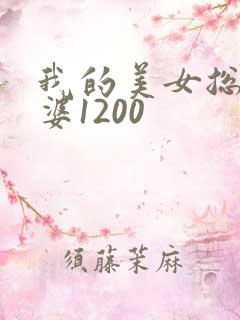 我的美女总裁老婆1200