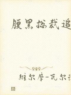 腹黑总裁追娇妻