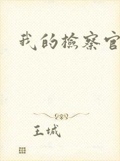 我的检察官先生