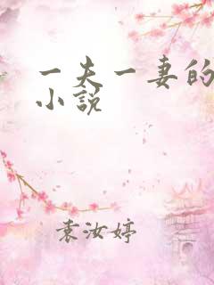 一夫一妻的玄幻小说