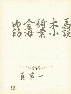 内含骑木马情节的海棠小说男主