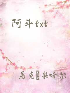 阿斗txt