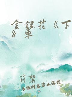 金银花《下厨房》车