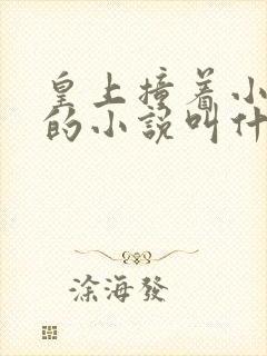 皇上撞着小公主的小说叫什么