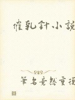 催乳针小说