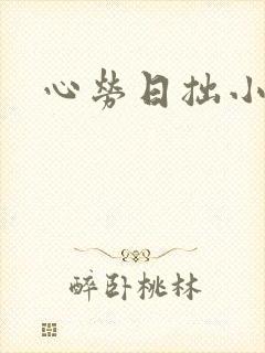 心劳日拙小说