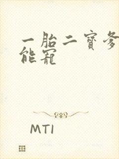 一胎二宝爹地超能宠