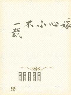 一不小心嫁给总裁