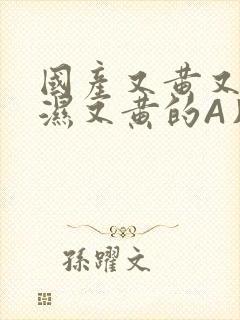 国产又黄又硬又湿又黄的A片小说